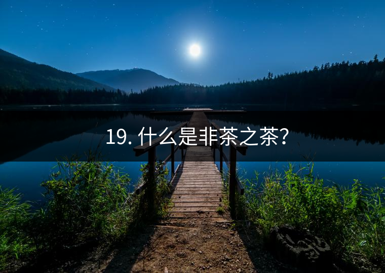 ? 19. 什么是非茶之茶？