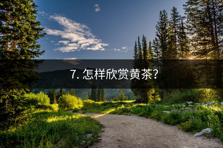 ? 7. 怎樣欣賞黃茶？