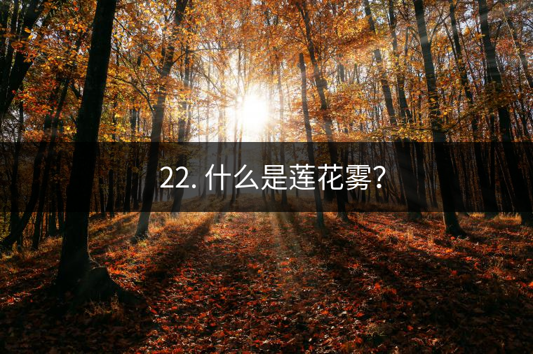 ? 22. 什么是蓮花霧？