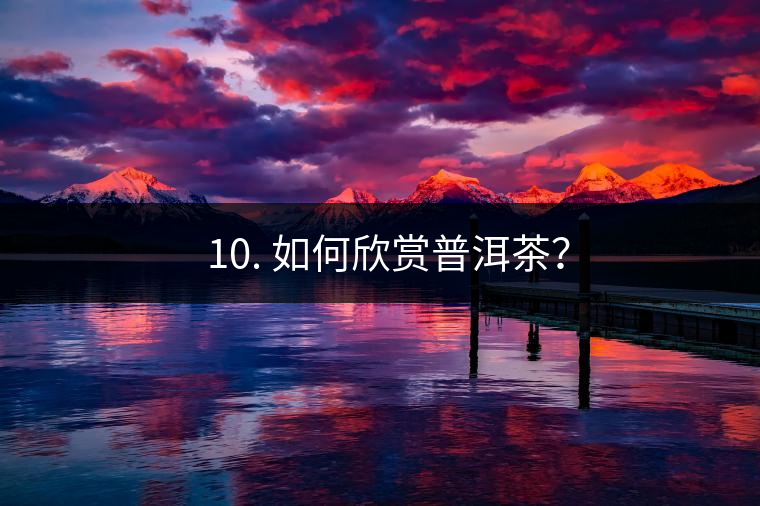 ? 10. 如何欣賞普洱茶？