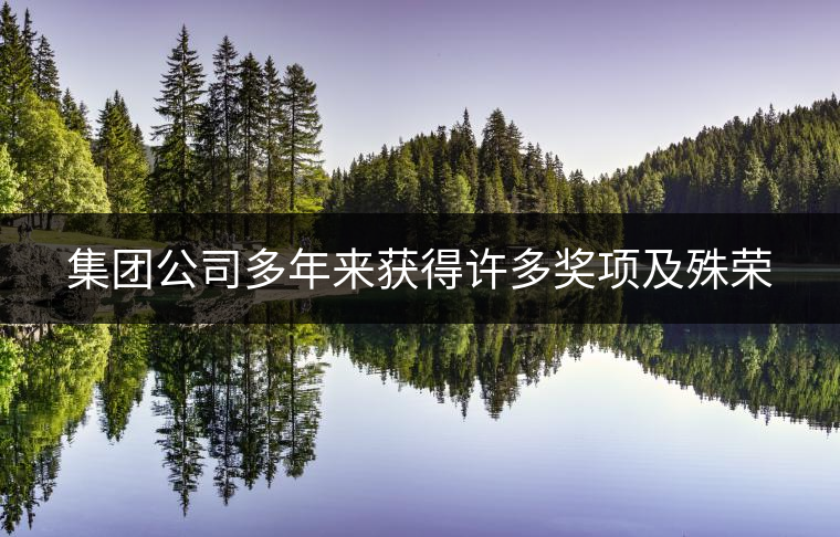 集團(tuán)公司多年來獲得許多獎(jiǎng)項(xiàng)及殊榮 集團(tuán)公司多年來獲得許多獎(jiǎng)項(xiàng)及殊榮