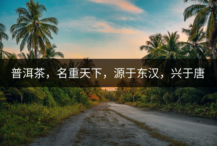 普洱茶，名重天下，源于東漢，興于唐宋，盛于明清。