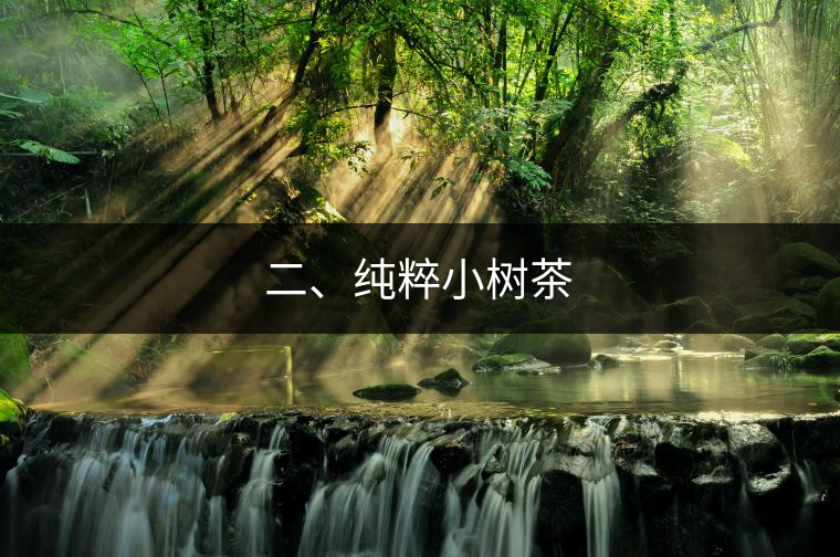 二、純粹小樹茶