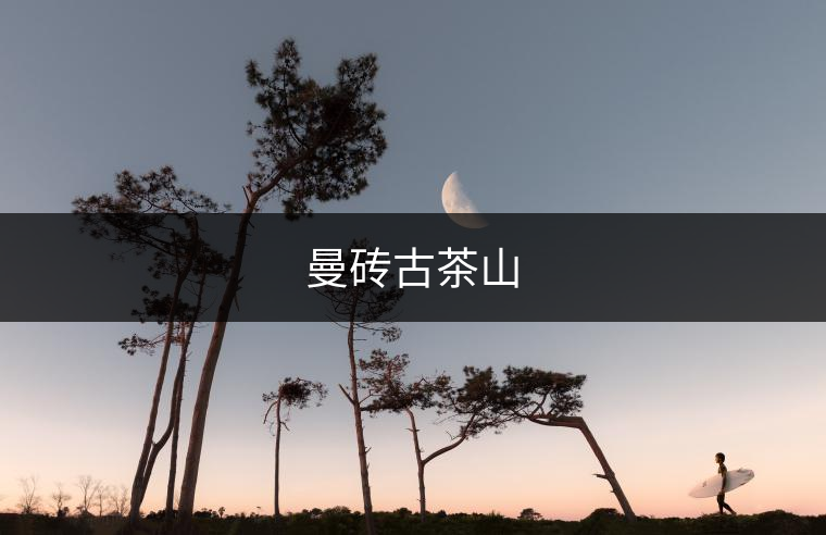 曼磚古茶山 曼磚古茶山