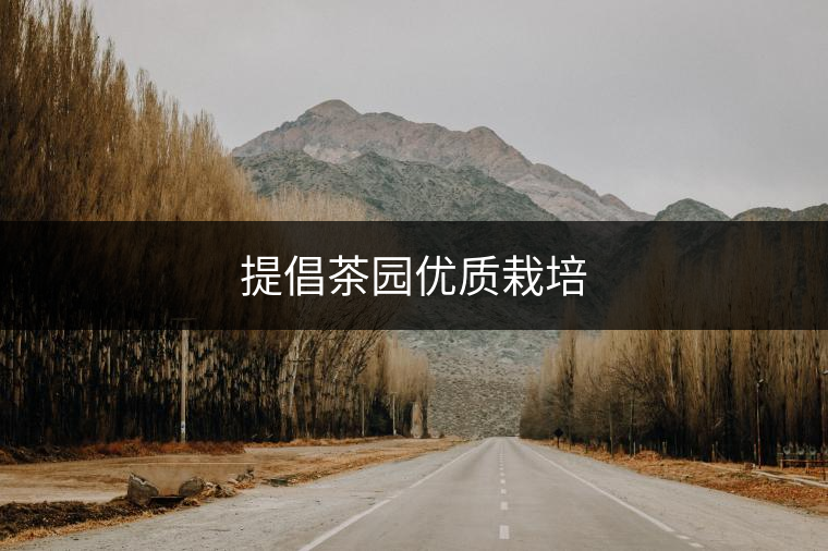 提倡茶園優(yōu)質栽培