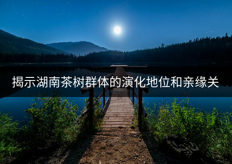 揭示湖南茶樹群體的演化地位和親緣關系