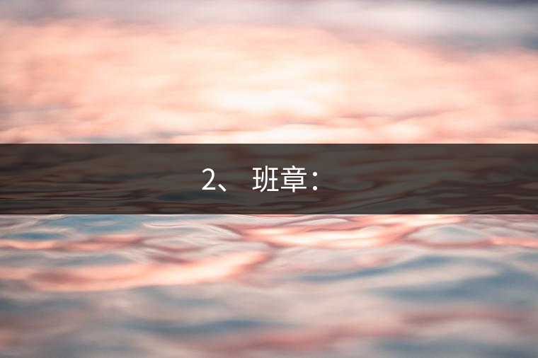 2、 班章：?