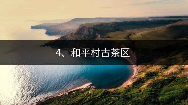 4、和平村古茶區(qū) ?