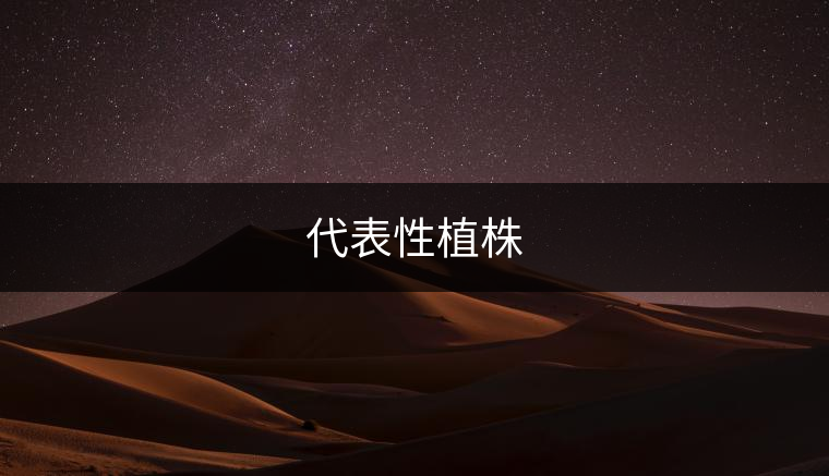 代表性植株: 代表性植株: