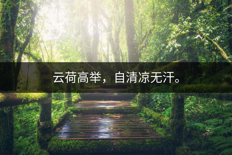 云荷高舉，自清涼無汗。