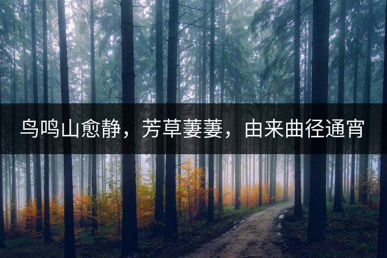 鳥鳴山愈靜，芳草萋萋，由來曲徑通宵漢。