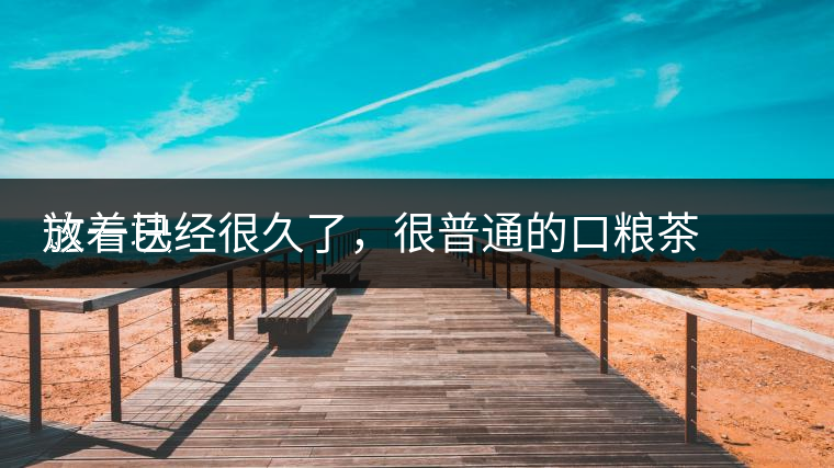 這一塊
放著已經(jīng)很久了，很普通的口糧茶，煙味很重，但回甘也可以，隨意喝喝吧。