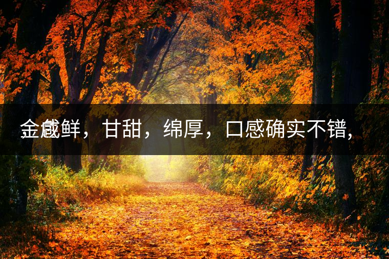 金色
，咸鮮，甘甜，綿厚，口感確實(shí)不鐠,還有上升空間。