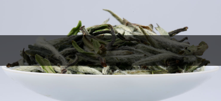 15254bde8d9b4aeeae4d5d8065d06382 15254bde8d9b4aeeae4d5d8065d06382