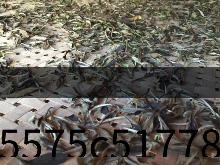 25575c517785482699c8b2c09240d792 25575c517785482699c8b2c09240d792