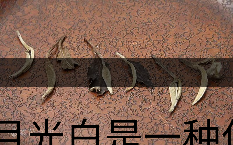 月光白是一種什么茶？-1