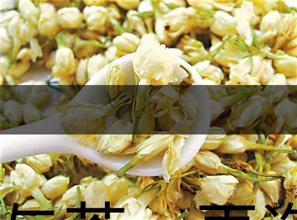 花與茶，再造茉莉之都——福州-1