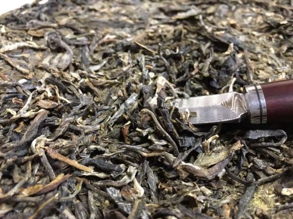 怎么樣泡好落水洞普洱茶？