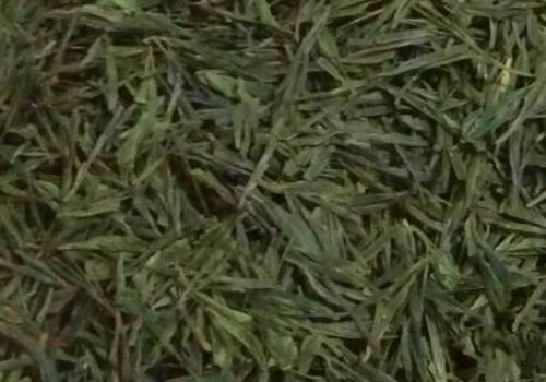 什么是海青茶？沖泡手法詳細(xì)教學(xué)！