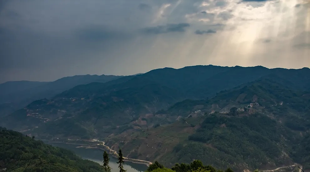 2021年磨烈：風(fēng)頭正勁的后起之秀，到底有何特點？