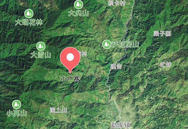 2021年小戶賽古樹秋茶有什么特點？