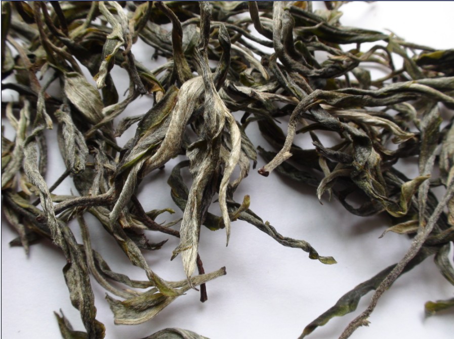 2021年馬鞍山古樹(shù)秋茶價(jià)格？