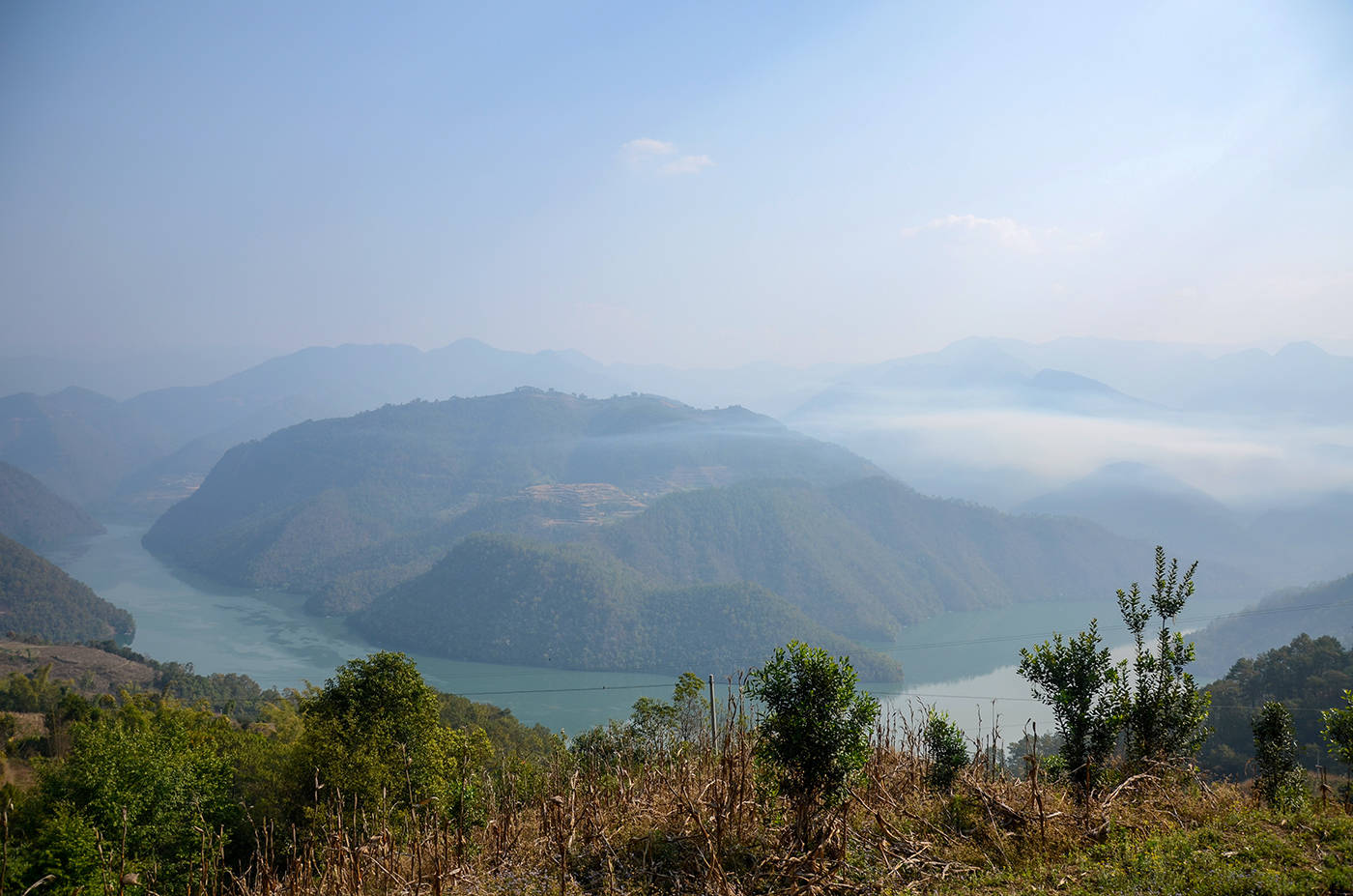 2021年白鶯山古樹秋茶，佛茶有什么魅力？