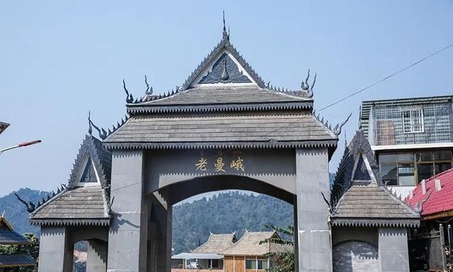 2021年老曼峨古樹秋茶特點(diǎn)？