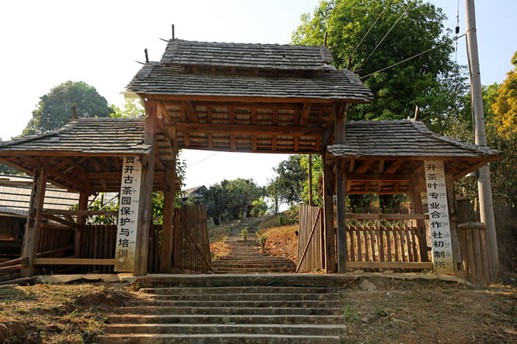 2021年賀開古樹秋茶特點？