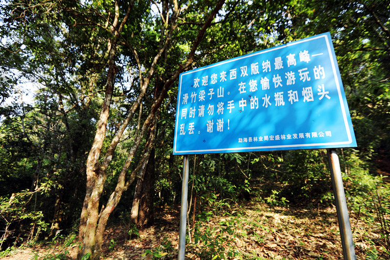 2021年滑竹梁子古樹(shù)秋茶價(jià)格？