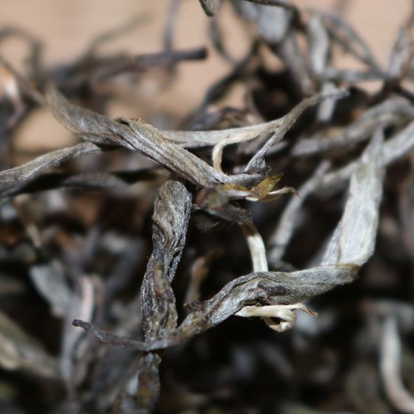 2021年帕沙古樹秋茶，你了解多少？