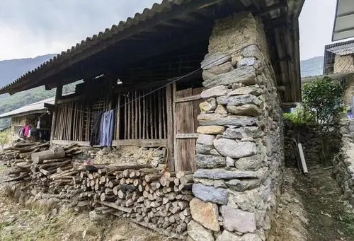 2022年景谷黃草壩古樹(shù)春茶特點(diǎn)是什么？