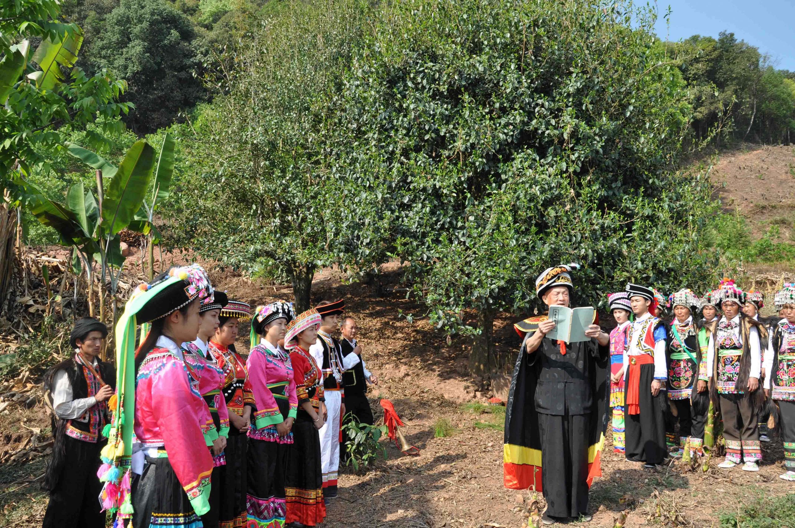 2022年景東御筆古樹(shù)春茶多少錢一公斤？