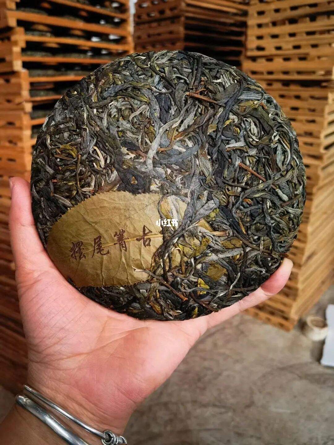 2022年寧洱 擺尾箐古樹(shù)春茶價(jià)格？