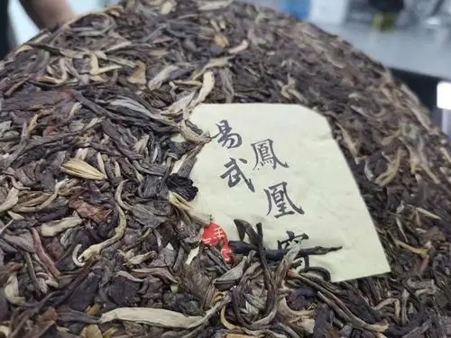 2022年鳳凰窩古樹高桿，鳳凰筑巢的地方