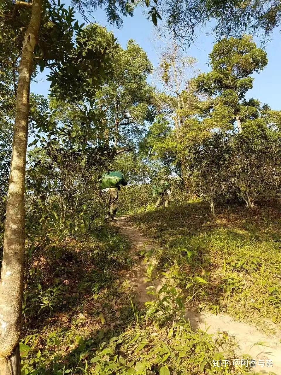 2022年刮風(fēng)寨茶王樹古樹茶多少錢一公斤？