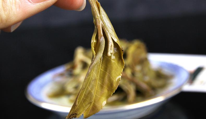 2022年冷水河古樹春茶價格？