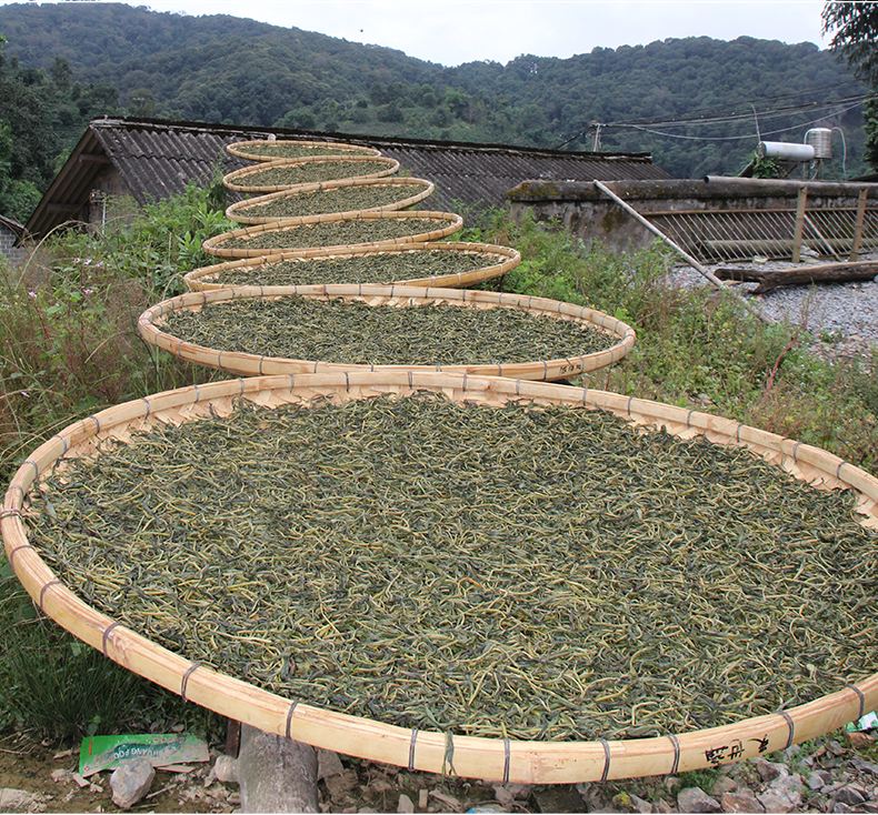 2022年白沙河古樹春茶價(jià)格？