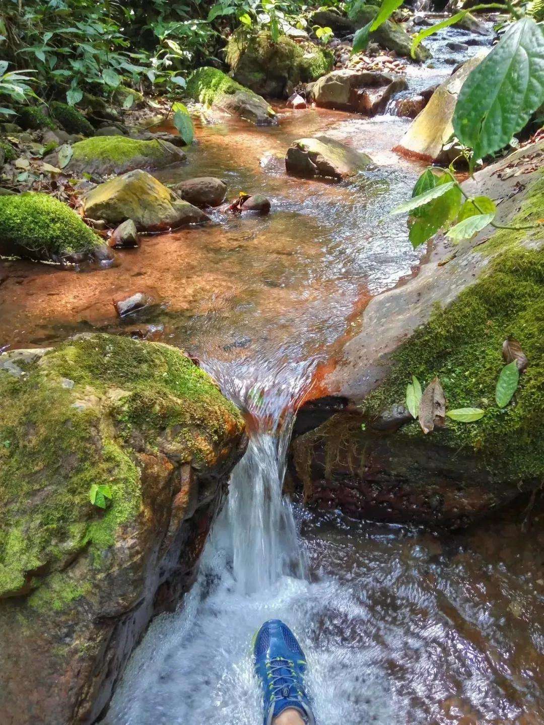 2022年銅箐河古樹春茶多少錢一公斤？