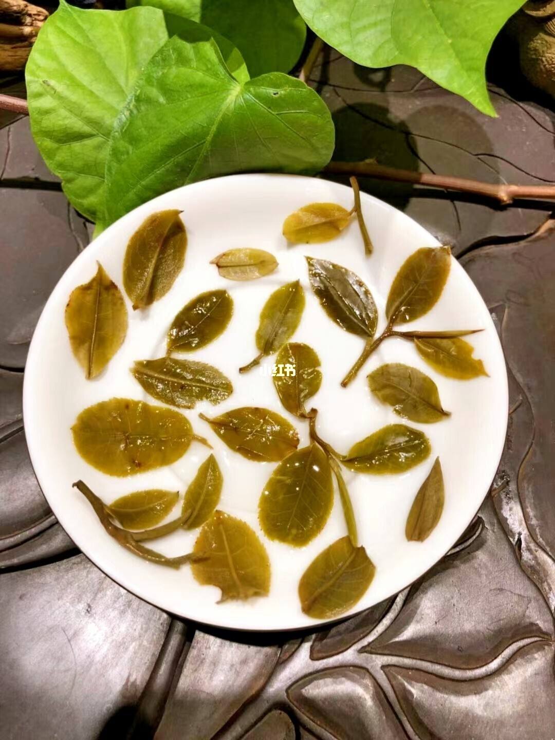 2022年倚邦貓耳朵古樹(shù)春茶多少錢一公斤？