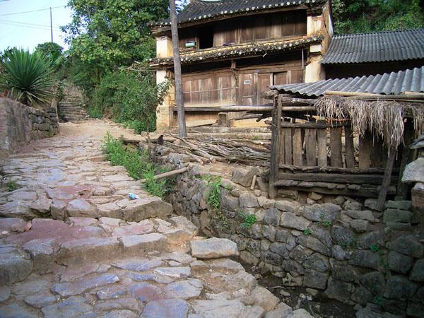 2022年蠻磚古樹(shù)春茶特點(diǎn)？