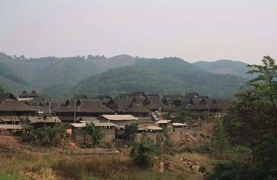 2022年革登古樹(shù)春茶特點(diǎn)？