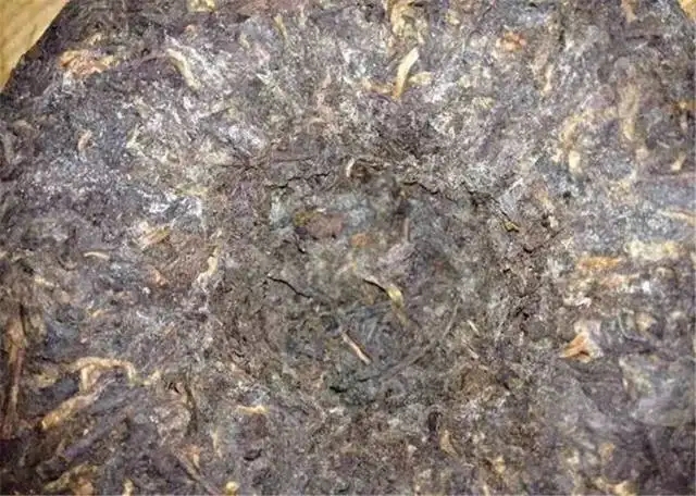 2022年普洱茶受潮發(fā)霉了怎么辦？