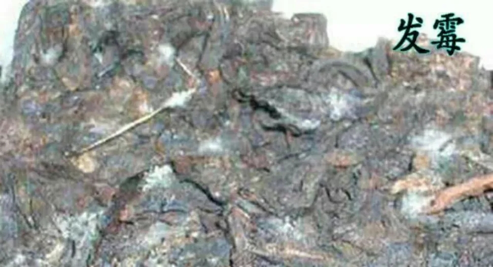 普洱茶受潮怎么處理？