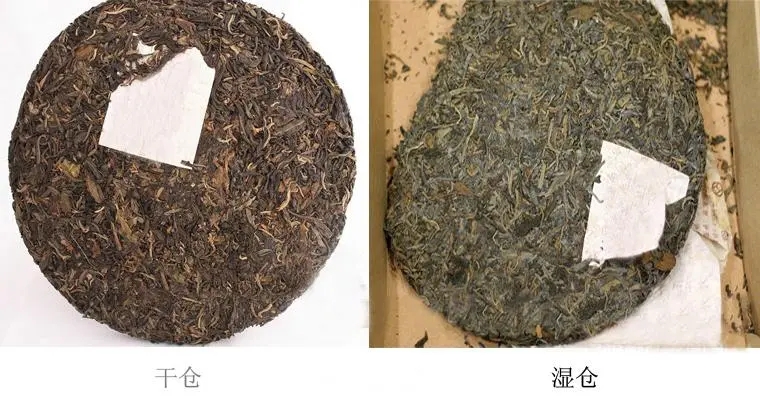 普洱茶怎么分辨干濕倉？