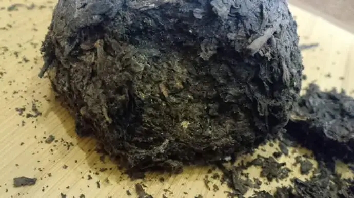 普洱茶蟲(chóng)子怎么辦？