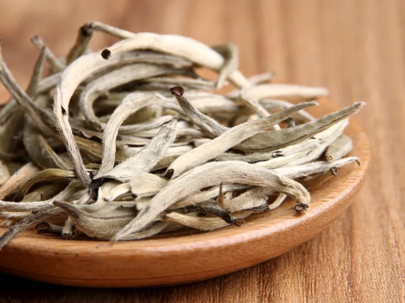 福鼎白茶、安吉白茶、云南月光白“三白”的區(qū)別