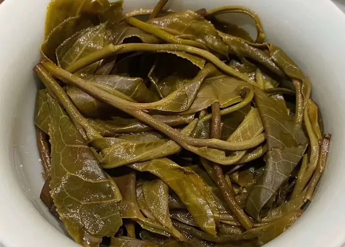 老班章和冰島誰更好喝，要怎么鑒別