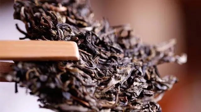 普洱生茶好還是普洱熟茶好喝？如何挑選適合自己的普洱茶？