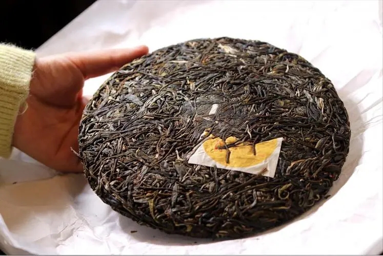 犀牛塘 | 古韻留香，帕沙之王